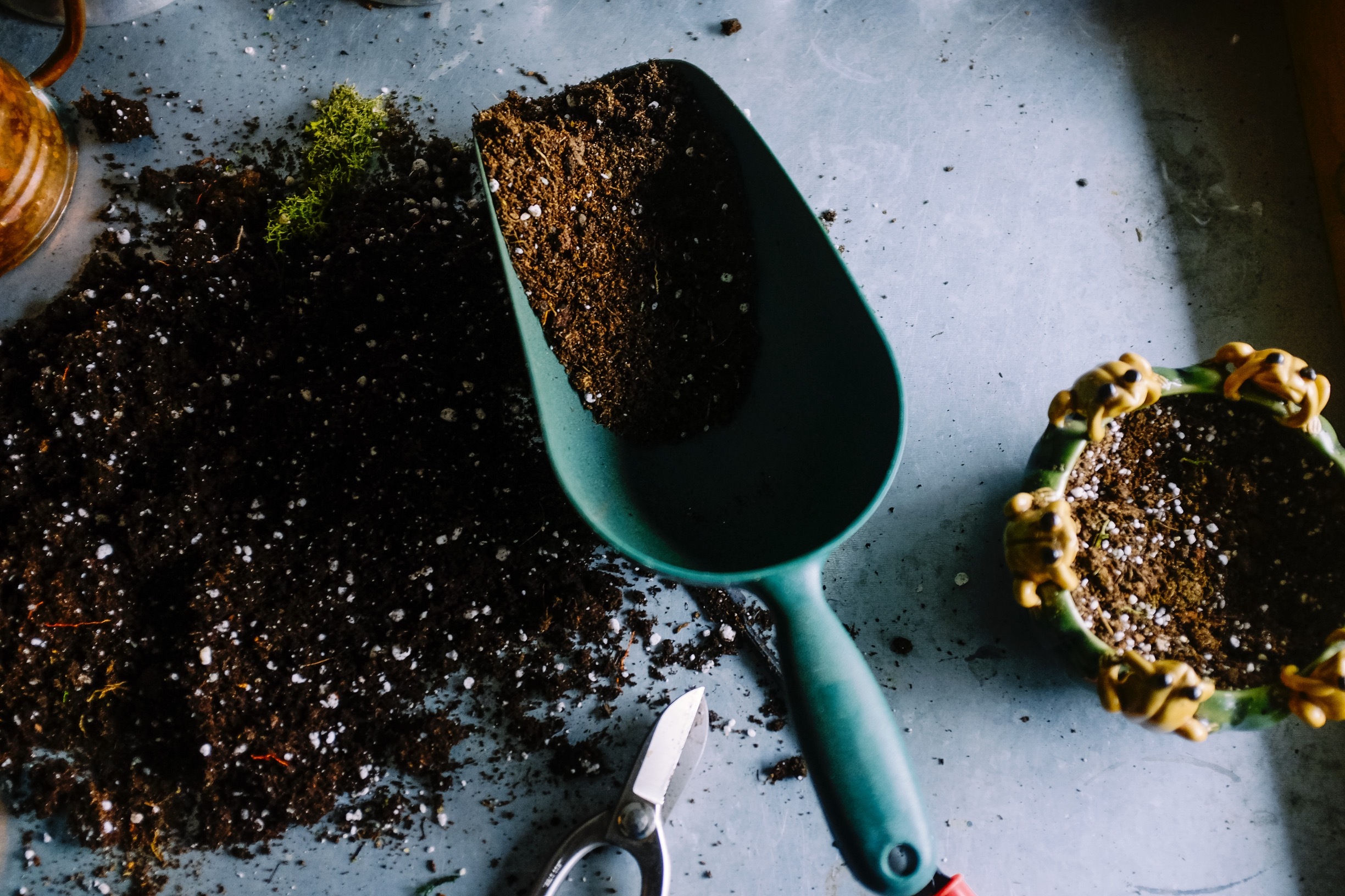 soil & potting How to choose soil and pots for an indoor garden