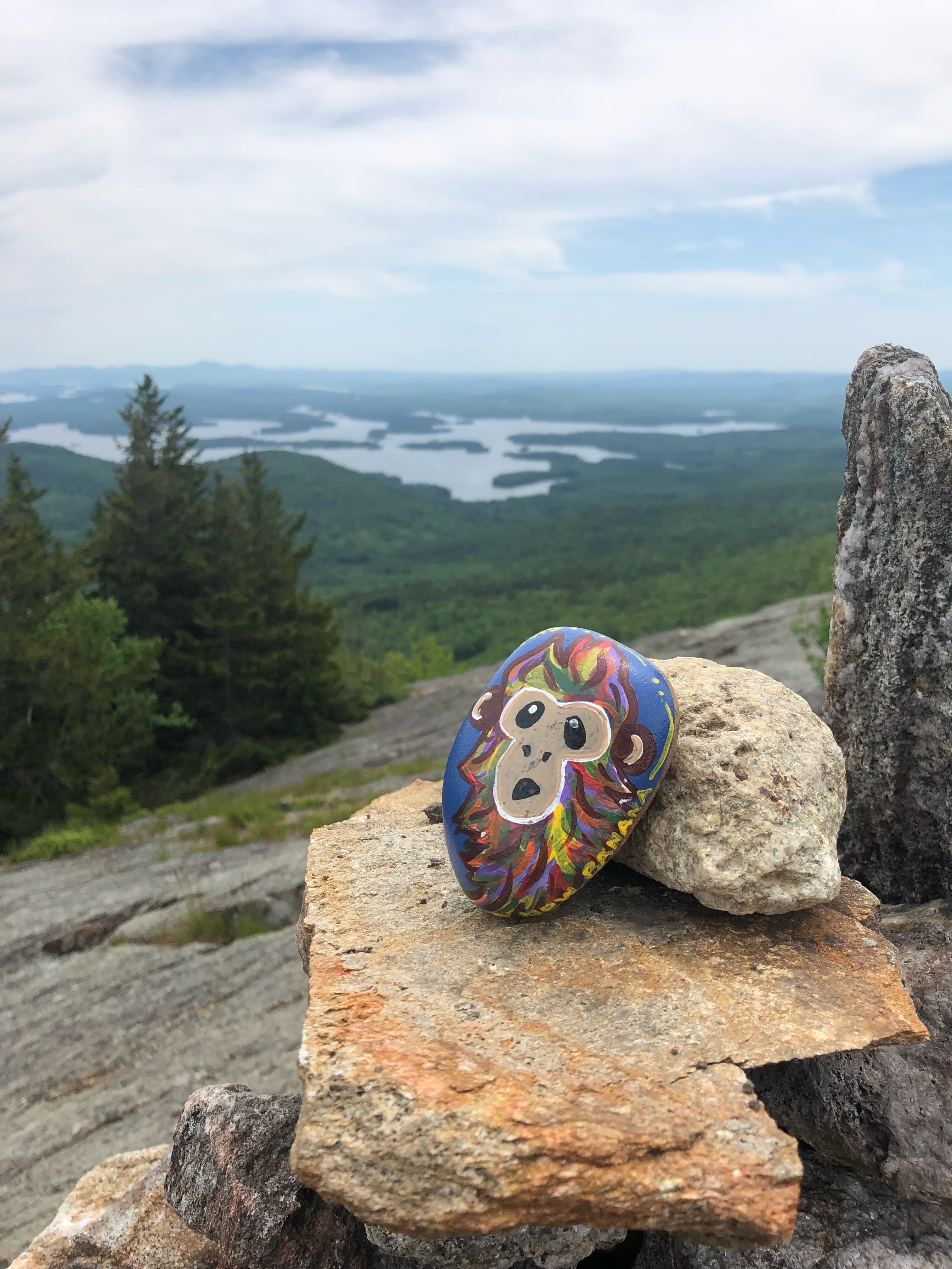 the best hiking trails in the u.s. The summit at Mount Percival in Holderness, New Hampshire.