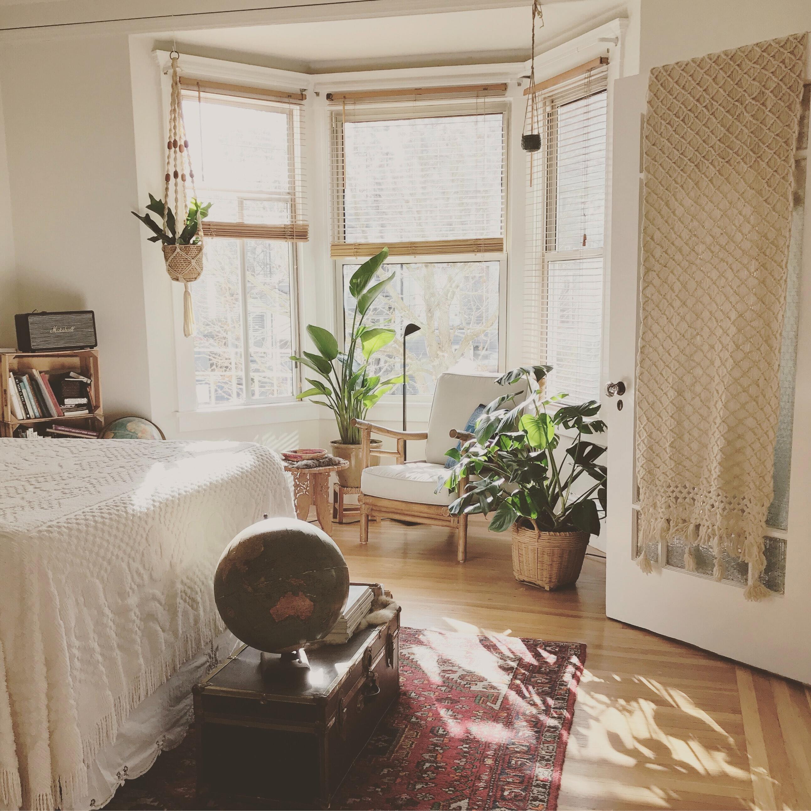 Bright living room with natural light