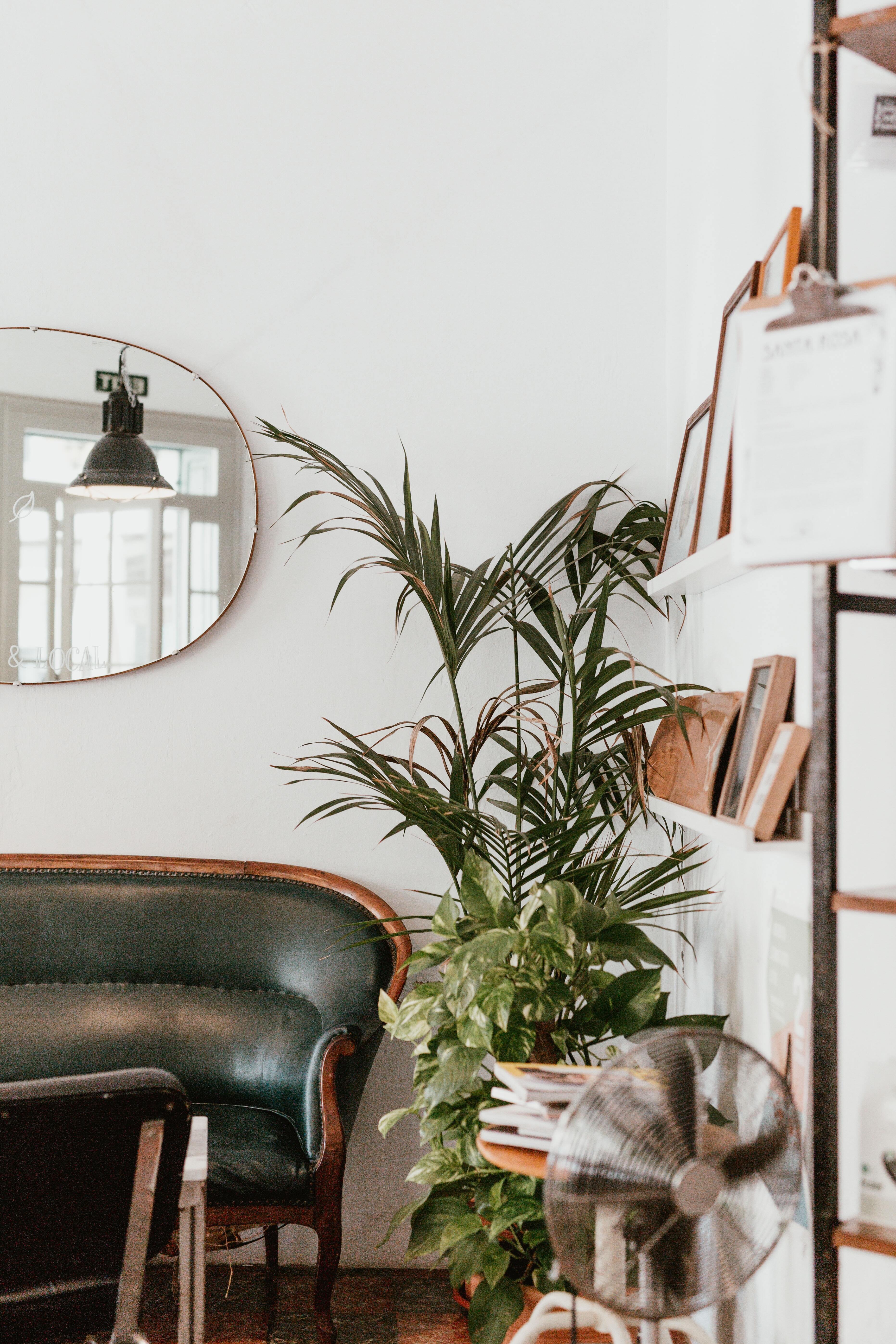 A living room features a green couch, a fan, and some green plants